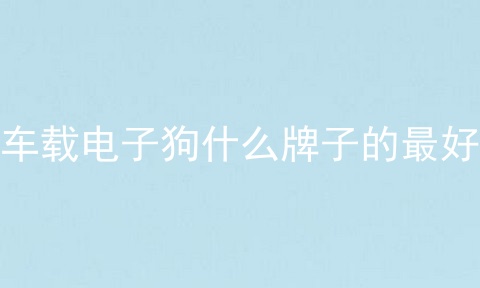 车载电子狗什么牌子的最好