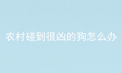 农村碰到很凶的狗怎么办