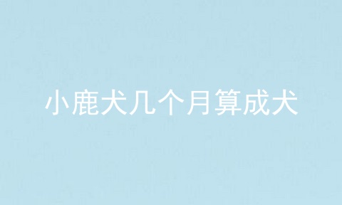 小鹿犬几个月算成犬