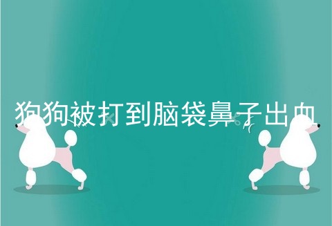 狗狗被打到脑袋鼻子出血