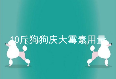 10斤狗狗庆大霉素用量