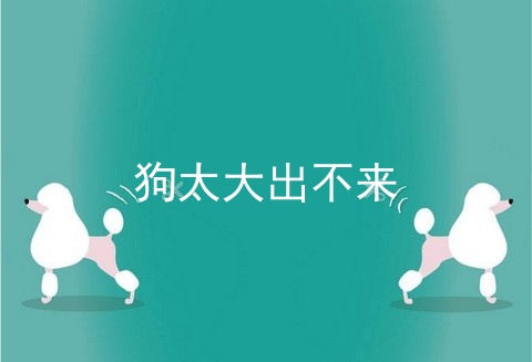 狗太大出不来