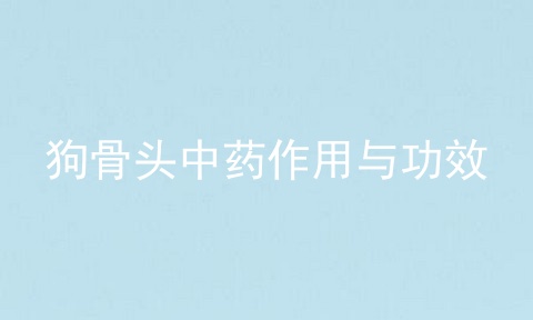狗骨头中药作用与功效