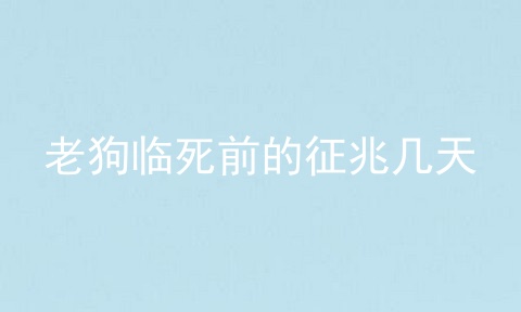 老狗临死前的征兆几天