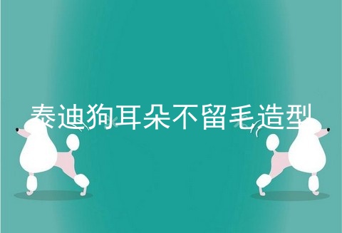 泰迪狗耳朵不留毛造型