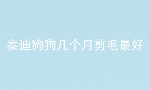 泰迪狗狗几个月剪毛最好