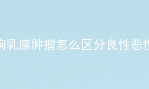 狗乳腺肿瘤怎么区分良性恶性