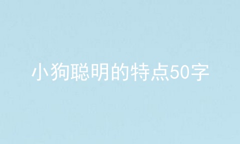 小狗聪明的特点50字