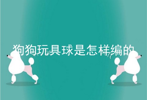 狗狗玩具球是怎样编的