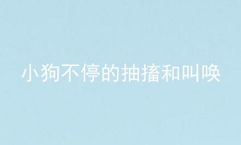 小狗不停的抽搐和叫唤