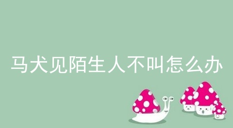 马犬见陌生人不叫怎么办