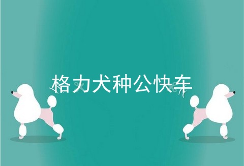 格力犬种公快车