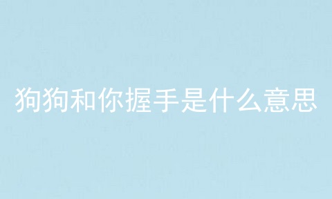狗狗和你握手是什么意思