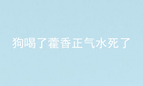 狗喝了藿香正气水死了