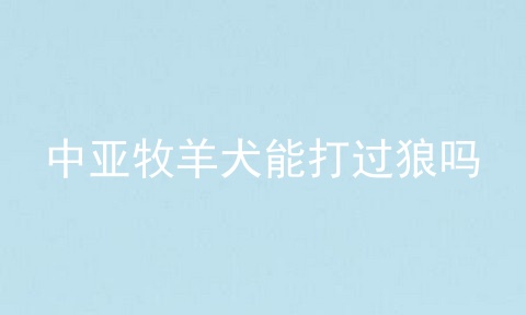 中亚牧羊犬能打过狼吗