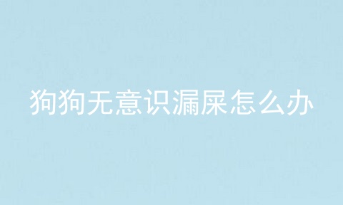 狗狗无意识漏屎怎么办