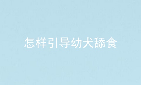 怎样引导幼犬舔食