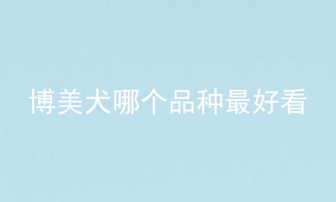 博美犬哪个品种最好看