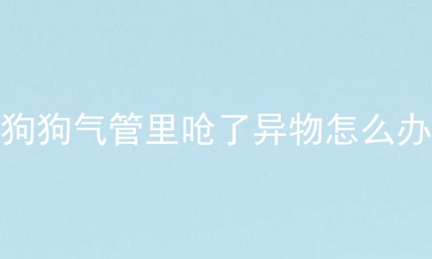 狗狗气管里呛了异物怎么办
