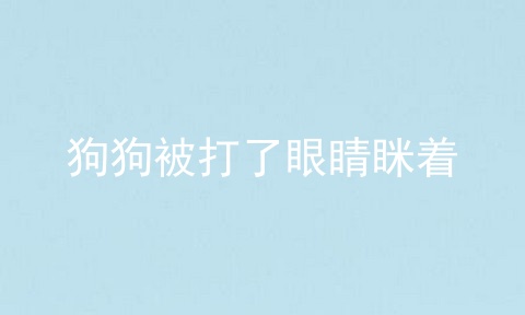 狗狗被打了眼睛眯着