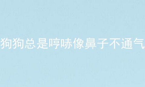 狗狗总是哼哧像鼻子不通气