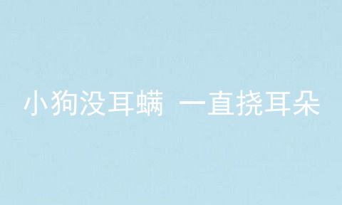 小狗没耳螨 一直挠耳朵