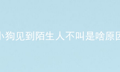 小狗见到陌生人不叫是啥原因