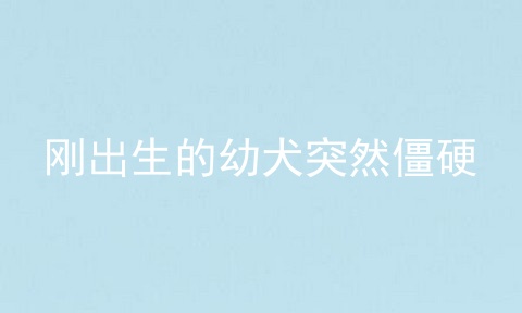 刚出生的幼犬突然僵硬