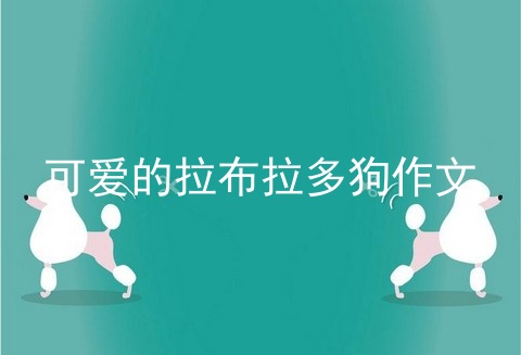 可爱的拉布拉多狗作文