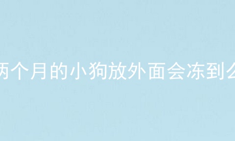 两个月的小狗放外面会冻到么