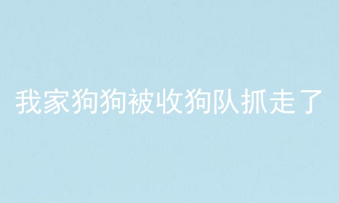 我家狗狗被收狗队抓走了