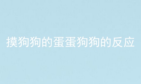 摸狗狗的蛋蛋狗狗的反应