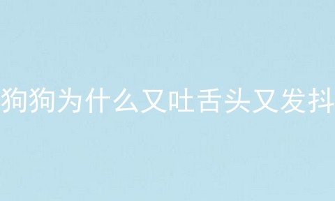 狗狗为什么又吐舌头又发抖