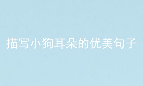 描写小狗耳朵的优美句子
