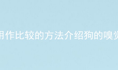 用作比较的方法介绍狗的嗅觉