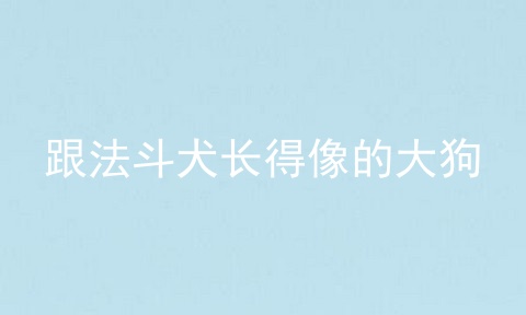 跟法斗犬长得像的大狗