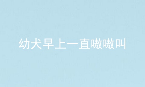 幼犬早上一直嗷嗷叫