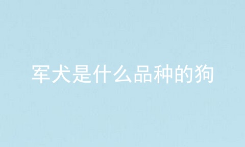 军犬是什么品种的狗