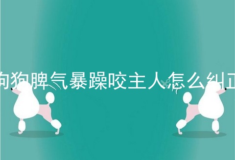 狗狗脾气暴躁咬主人怎么纠正