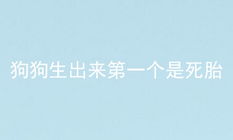 狗狗生出来第一个是死胎