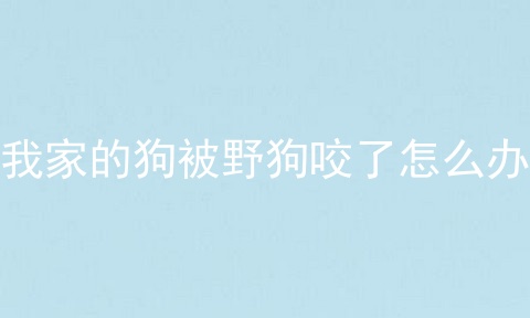 我家的狗被野狗咬了怎么办