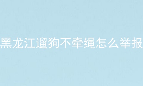 黑龙江遛狗不牵绳怎么举报
