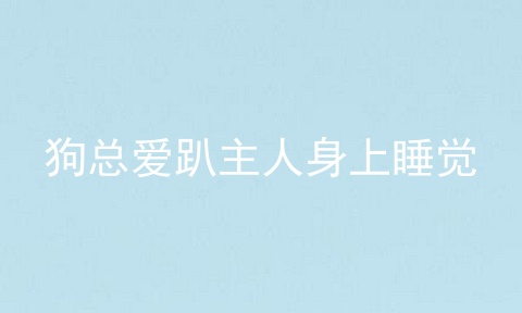 狗总爱趴主人身上睡觉