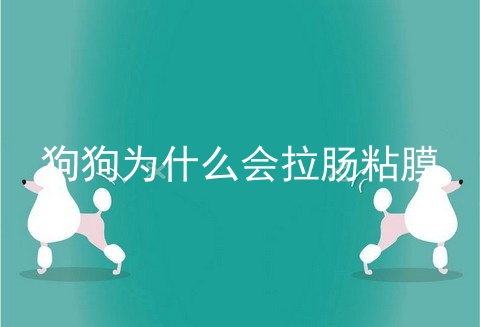 狗狗为什么会拉肠粘膜