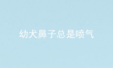 幼犬鼻子总是喷气