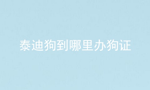 泰迪狗到哪里办狗证