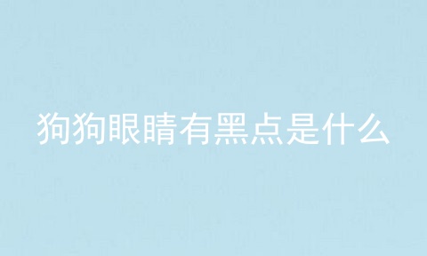 狗狗眼睛有黑点是什么