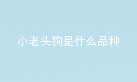 小老头狗是什么品种