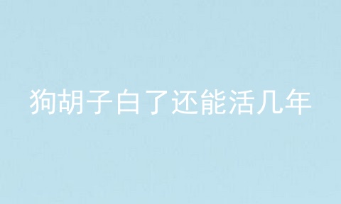 狗胡子白了还能活几年