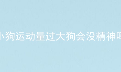 小狗运动量过大狗会没精神吗